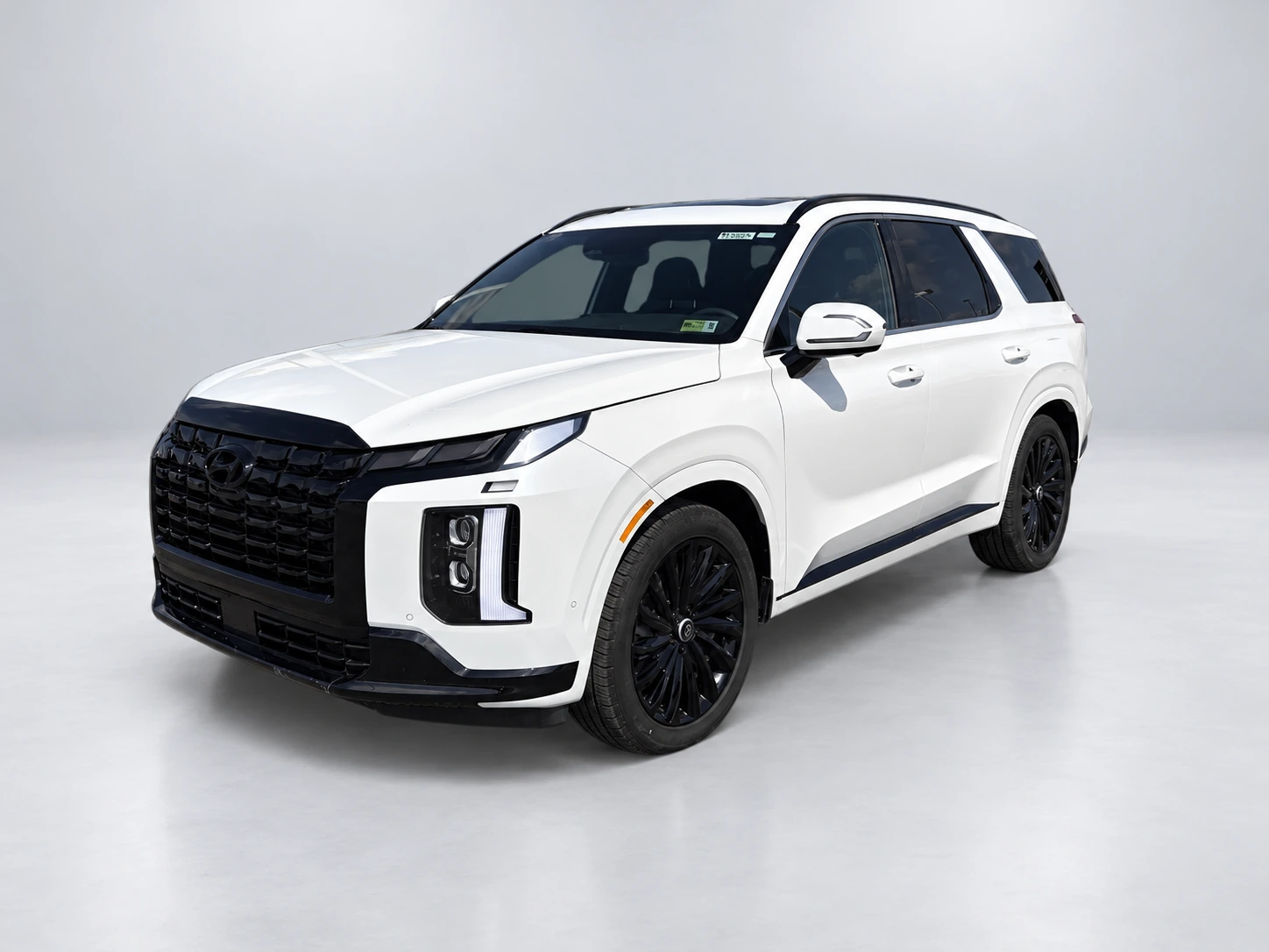 2024 Hyundai Palisade Calligraphy Night Edition · photo 1